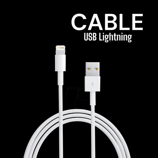 New Apple Lightning to USB Cable